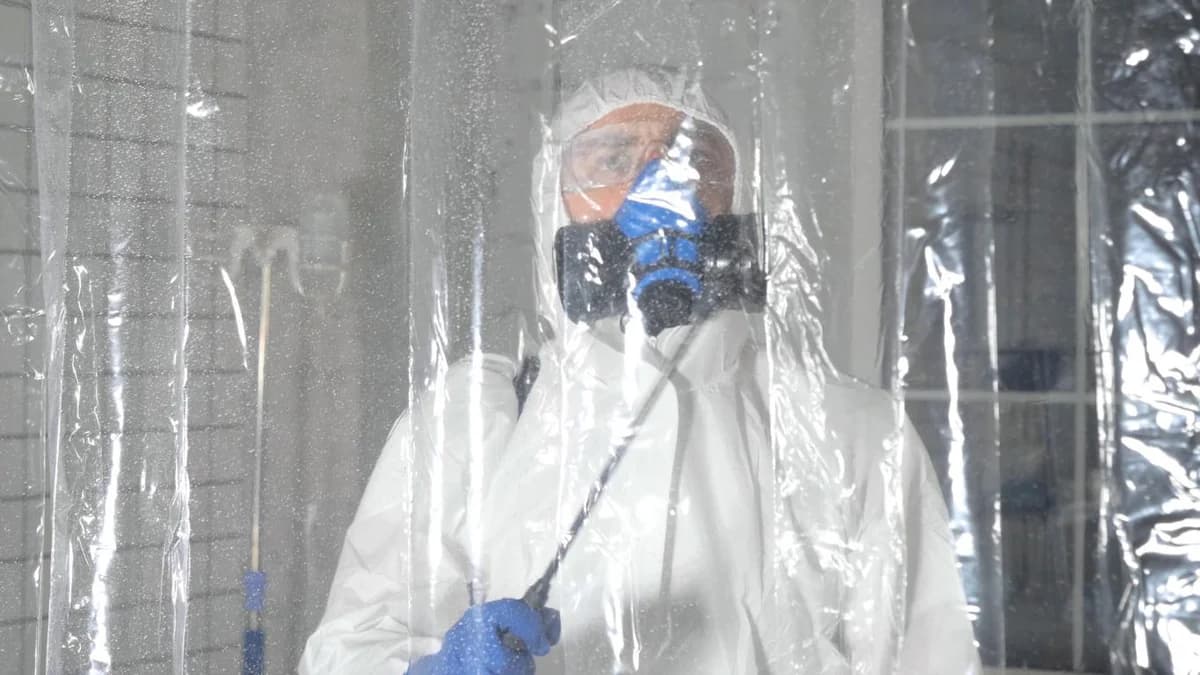 Beltéri penészmentesítési szakképesítés